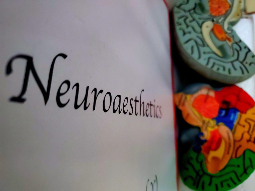 Neuroasthetics (text)